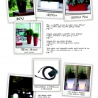 saksii-nikoli-katalog-web_2013-004-004