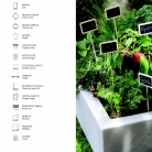 saksii-nikoli-katalog-web_2013-006-006