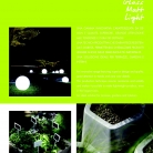 saksii-nikoli-katalog-web_2013-009-009