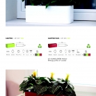 saksii-nikoli-katalog-web_2013-013-013