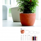 saksii-nikoli-katalog-web_2013-017-017