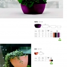 saksii-nikoli-katalog-web_2013-018-018