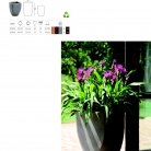 saksii-nikoli-katalog-web_2013-020-020