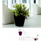 saksii-nikoli-katalog-web_2013-021-021