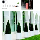 saksii-nikoli-katalog-web_2013-025-025