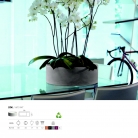 saksii-nikoli-katalog-web_2013-026-026