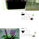 saksii-nikoli-katalog-web_2013-027-027