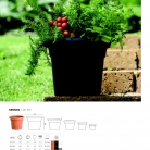 saksii-nikoli-katalog-web_2013-030-030