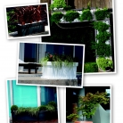 saksii-nikoli-katalog-web_2013-036-036