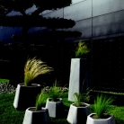 saksii-nikoli-katalog-web_2013-039-039