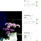 saksii-nikoli-katalog-web_2013-042-042