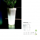 saksii-nikoli-katalog-web_2013-044-044