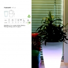 saksii-nikoli-katalog-web_2013-047-047