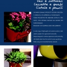 saksii-nikoli-katalog-web_2013-055-055