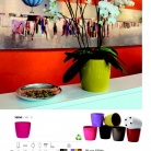 saksii-nikoli-katalog-web_2013-058-058