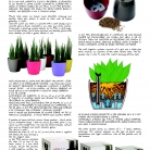 saksii-nikoli-katalog-web_2013-061-061