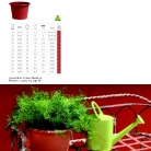 saksii-nikoli-katalog-web_2013-062-062