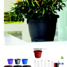 saksii-nikoli-katalog-web_2013-063-063