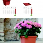 saksii-nikoli-katalog-web_2013-065-065