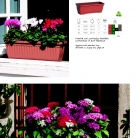 saksii-nikoli-katalog-web_2013-066-066