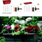 saksii-nikoli-katalog-web_2013-068-068