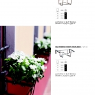 saksii-nikoli-katalog-web_2013-070-070