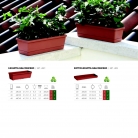 saksii-nikoli-katalog-web_2013-072-072