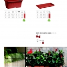 saksii-nikoli-katalog-web_2013-073-073