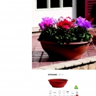 saksii-nikoli-katalog-web_2013-075-075