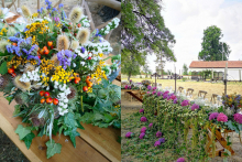 ROSI-WEDDING-web-12