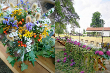 ROSI-WEDDING-web-12