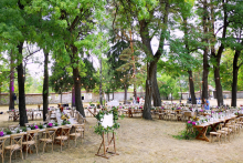 ROSI-WEDDING-web-8