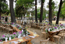 ROSI-WEDDING-web-9