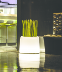 ice_light_cmyk