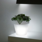 miniikonlampadavasoneutro98