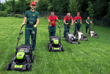 NG-TEAM-21