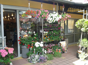 Click to open larger map